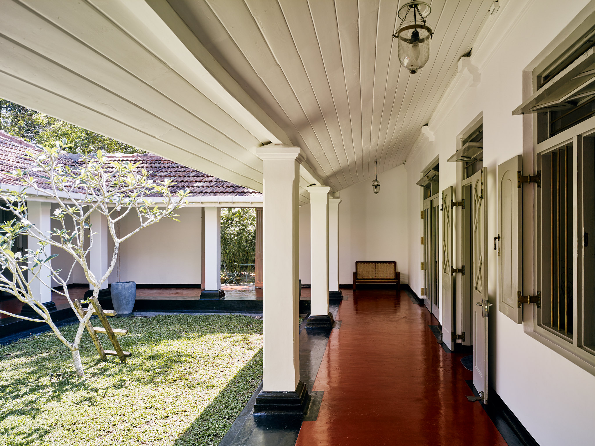 E15550 Alpa 049881 SCREEN